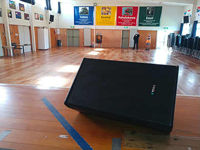The sound in the hall