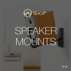 Speaker Mount